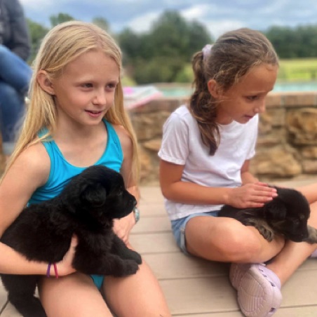Homeschool with puppies Homeschool with puppies