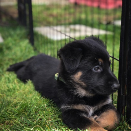Already on guard Already on guard