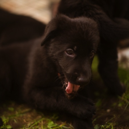 Do I have something on my tongue? Do I have something on my tongue?