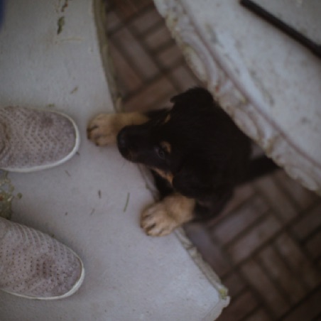 Let me up! Let me up!