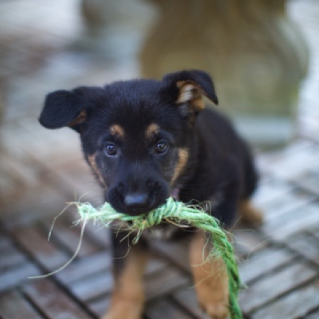 Play with me? Play with me?