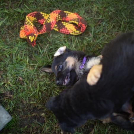 Getting playful Getting playful