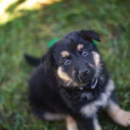 Do I have something on my face? Do I have something on my face?