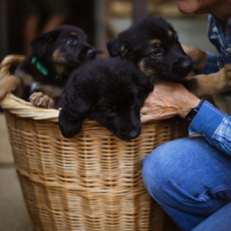 Basketful of wonderful Basketful of wonderful