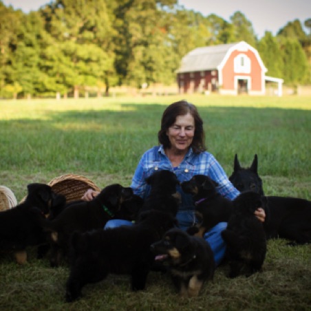Ellen with a full litter Ellen with a full litter