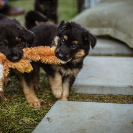 We can share We can share