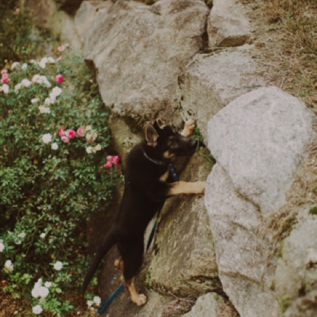 Climbing Climbing