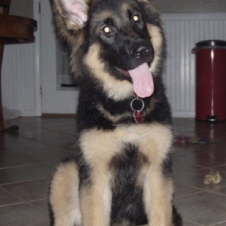Hiro at 4 months Hiro at 4 months