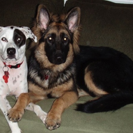 Hiro and friend at 6 months Hiro and friend at 6 months