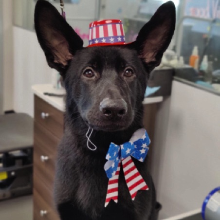 Baruch celebrates Independence Day Baruch celebrates Independence Day