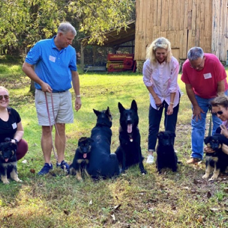 Puppy play date at Ransomshire Puppy play date at Ransomshire