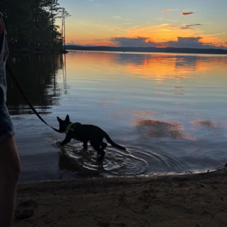 Ursa's first camping trip Ursa's first camping trip