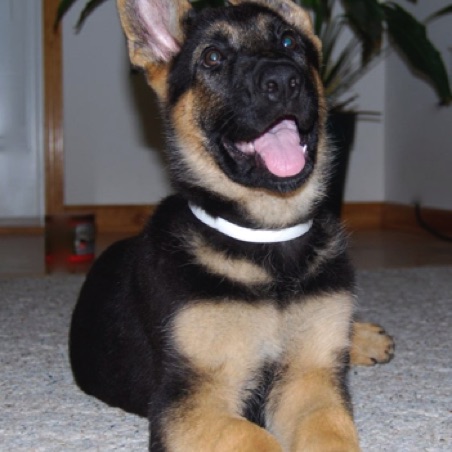Thomas at 10 weeks Thomas at 10 weeks