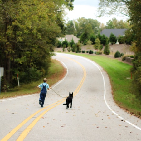 Enjoying a closed road Enjoying a closed road