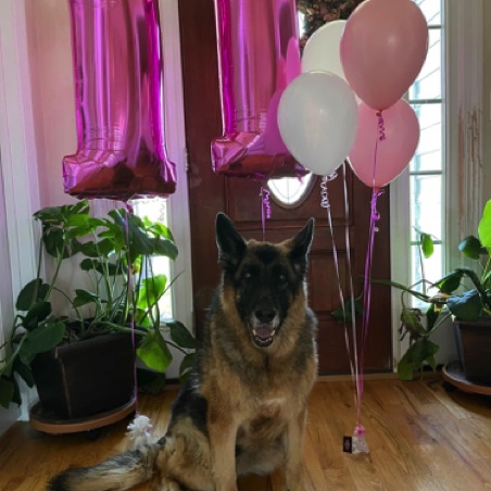 Happy 11th Birthday! Happy 11th Birthday!