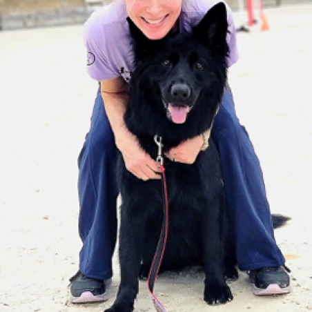Sophie the incredible rally and agility dog with owner and handler Amy Sophie the incredible rally and agility dog with owner and handler Amy