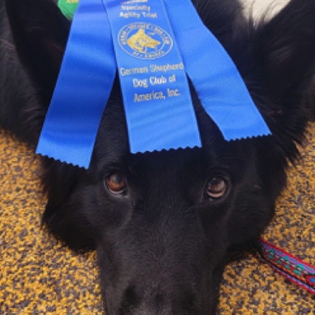 First place First place