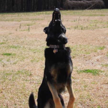 I got it! I got it!