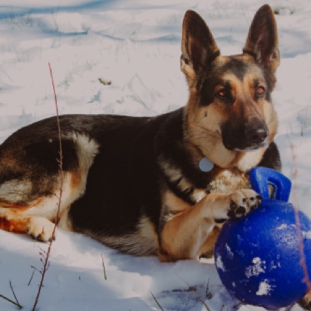 Queen of the Jolly Ball Queen of the Jolly Ball