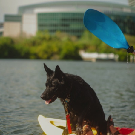 We love a kayaking dog We love a kayaking dog