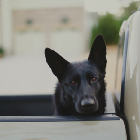 Going for a ride Going for a ride