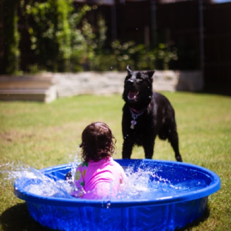 Kiddie pool playdate Kiddie pool playdate