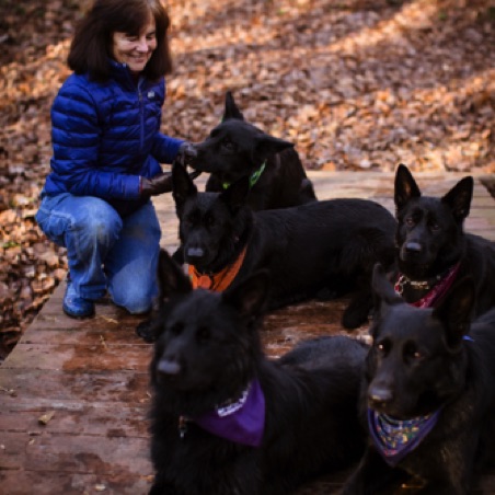 Full-grown litter playdate at Ransomshire Full-grown litter playdate at Ransomshire