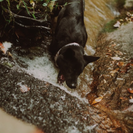 I will defeat this waterfall I will defeat this waterfall