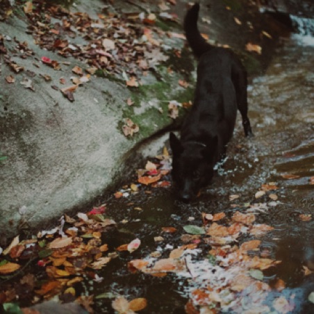 Stretching in the creek Stretching in the creek