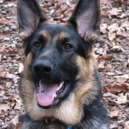 Otto Otto