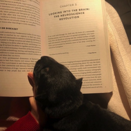 The best bookmark The best bookmark