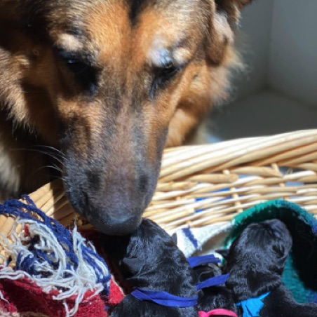 Gigi checks on her babies Gigi checks on her babies