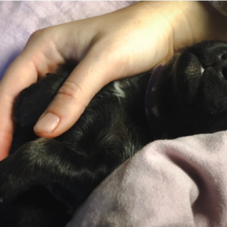 A perfect handful A perfect handful