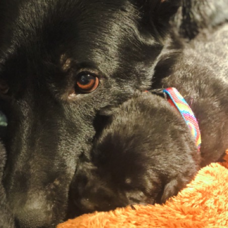 Cuddles for Mama Cuddles for Mama