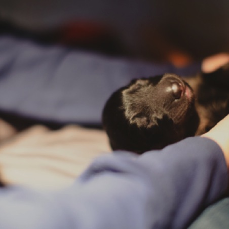 Sweet dreams Sweet dreams