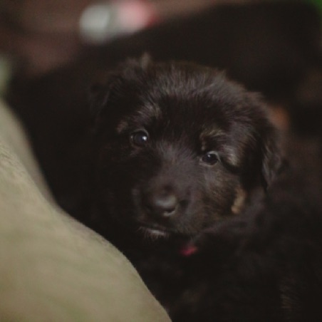 Sleepy eyes Sleepy eyes