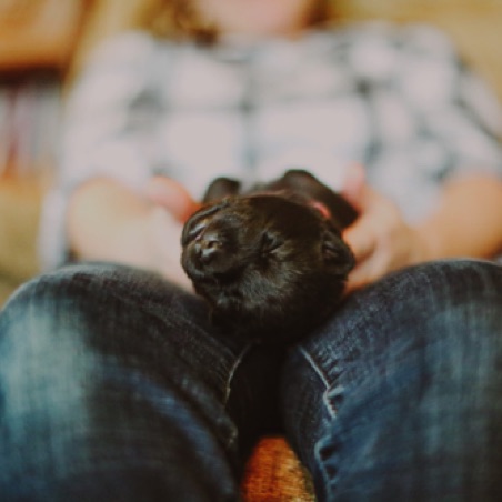 Our pups get socialized from an early age Our pups get socialized from an early age