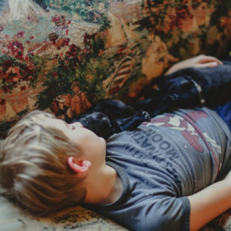 Sam makes himself a puppy bed Sam makes himself a puppy bed