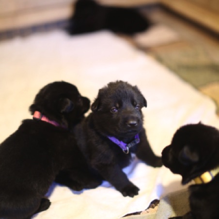 Seeing siblings for the first time Seeing siblings for the first time